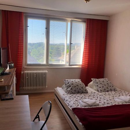 Apartman Elen Apartment Frantiskovy Lazne Bagian luar foto