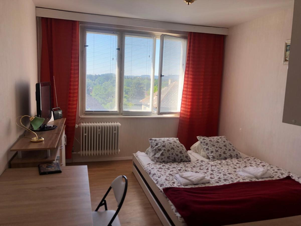 Apartman Elen Apartment Frantiskovy Lazne Bagian luar foto